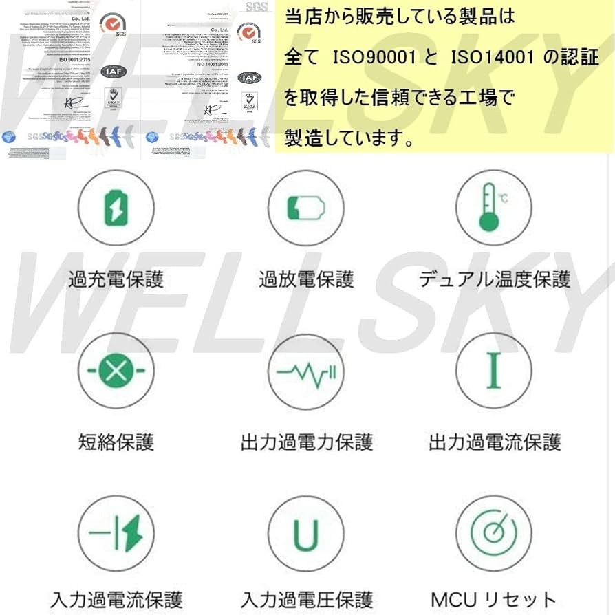 Amazon | NLC DMW-BCJ13 | BP-DC10 / BP-DC10-U/BP-DC10-E